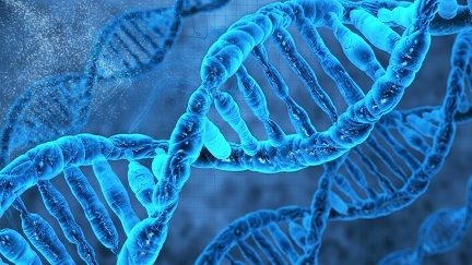 دانلود کتاب طراحی هوشمند در DNA