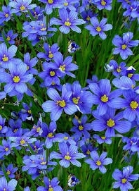 دانلود کتاب دانلود تقویم سال ۱۳۹۵ نوشته موسسه ژئوفیزیک تهران