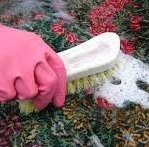دانلود کتاب روش صحیح شستن فرش